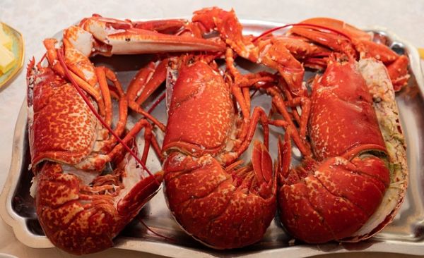 Astaxanthin is what gives lobsters their distinct red color, although most of it is only released when they are cooked.