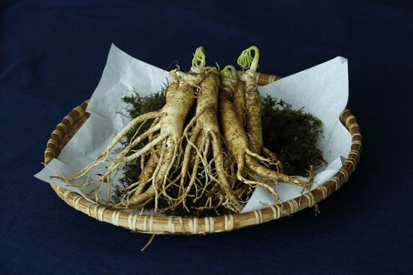 Ginseng is being studied for its potent cancer-fighting properties.